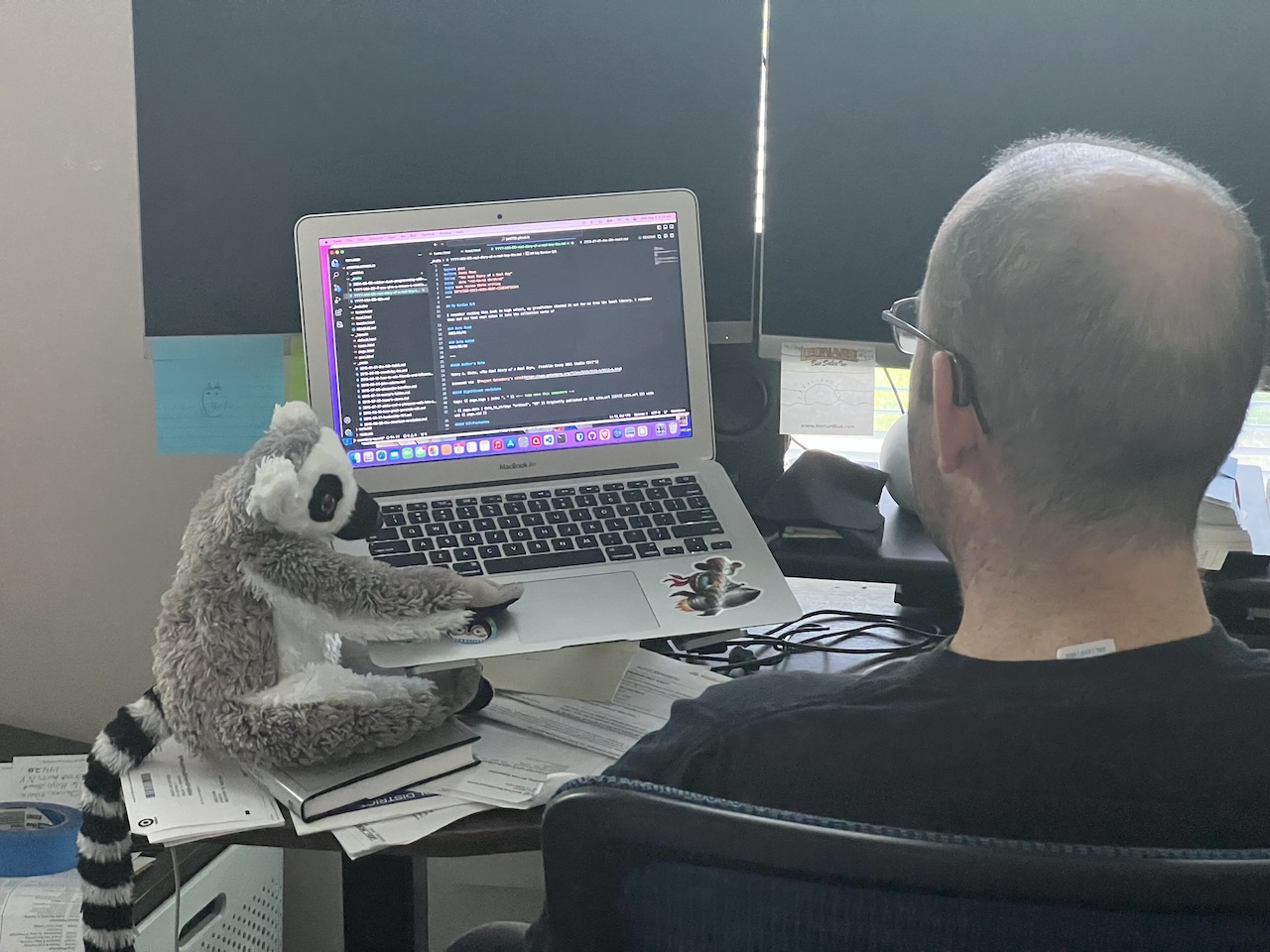 James working on laptop with a stuffed lemur nearby